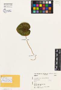 SW_BNB_s3080-02206_IMG-0000000001