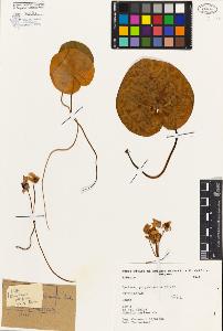 SW_BNB_s3080-02207_IMG-0000000001