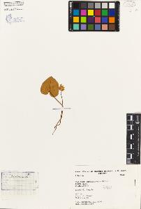 SW_BNB_s3080-02208_IMG-0000000001