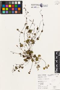 SW_BNB_s3080-02212_IMG-0000000001