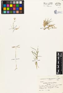 SW_BNB_s3080-02213_IMG-0000000001