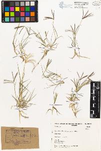 SW_BNB_s3080-02214_IMG-0000000001