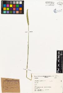 SW_BNB_s3080-02217_IMG-0000000001