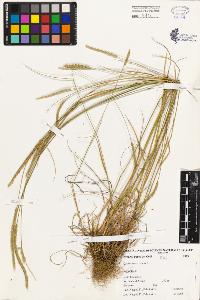 SW_BNB_s3080-02219_IMG-0000000001