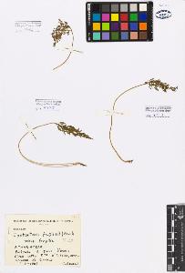 SW_BNB_s3080-02233_IMG-0000000001
