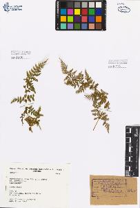SW_BNB_s3080-02241_IMG-0000000001