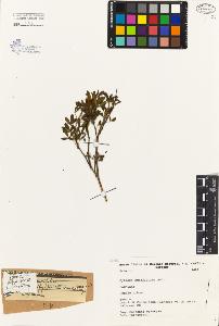 SW_BNB_s3080-02253_IMG-0000000001