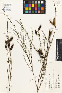SW_BNB_s3080-02255_IMG-0000000001