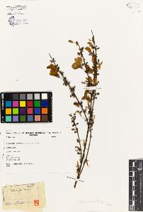 SW_BNB_s3080-02256_IMG-0000000001