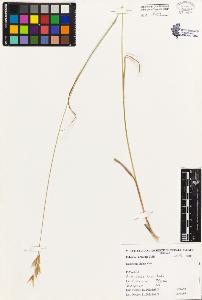 SW_BNB_s3080-02266_IMG-0000000001