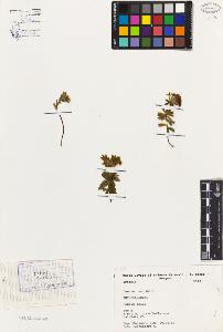SW_BNB_s3080-02270_IMG-0000000001