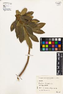 SW_BNB_s3080-02275_IMG-0000000001