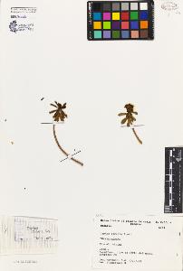 SW_BNB_s3080-02283_IMG-0000000001