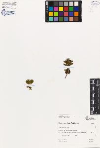 SW_BNB_s3080-02284_IMG-0000000001