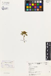 SW_BNB_s3080-02285_IMG-0000000001