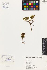 SW_BNB_s3080-02286_IMG-0000000001