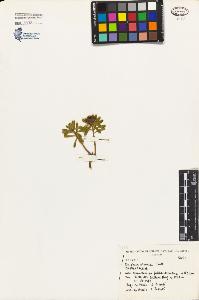 SW_BNB_s3080-02288_IMG-0000000001