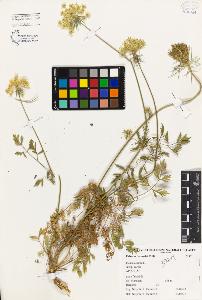 SW_BNB_s3080-02290_IMG-0000000001