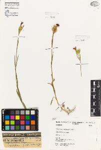 SW_BNB_s3080-02301_IMG-0000000001