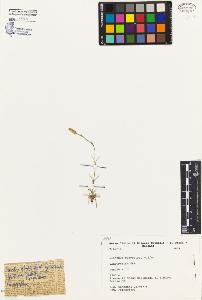 SW_BNB_s3080-02307_IMG-0000000001