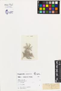 SW_BNB_s3080-02310_IMG-0000000001