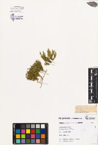 SW_BNB_s3080-02311_IMG-0000000001