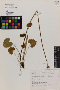 SW_BNB_s3080-02318_IMG-0000000001