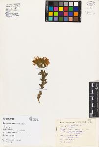 SW_BNB_s3080-02327_IMG-0000000001