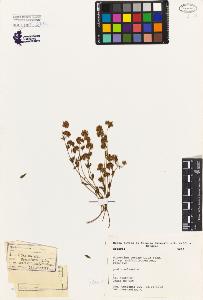 SW_BNB_s3080-02328_IMG-0000000001