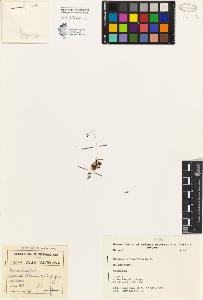 SW_BNB_s3080-02332_IMG-0000000001