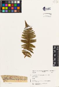 SW_BNB_s3080-02336_IMG-0000000001