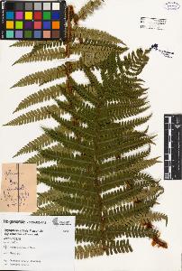 SW_BNB_s3080-02338_IMG-0000000001