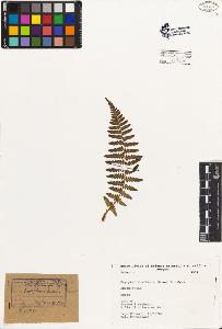 SW_BNB_s3080-02341_IMG-0000000001
