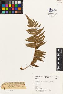 SW_BNB_s3080-02342_IMG-0000000001