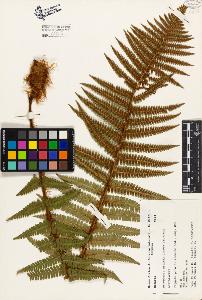 SW_BNB_s3080-02343_IMG-0000000001