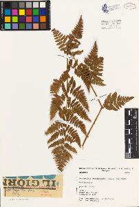 SW_BNB_s3080-02348_IMG-0000000001