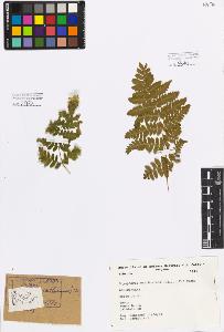 SW_BNB_s3080-02355_IMG-0000000001