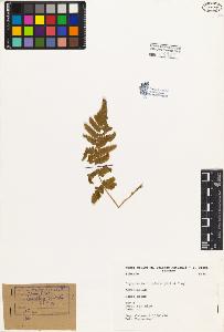 SW_BNB_s3080-02359_IMG-0000000001