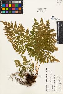 SW_BNB_s3080-02364_IMG-0000000001