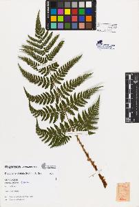 SW_BNB_s3080-02366_IMG-0000000001