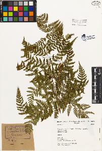 SW_BNB_s3080-02371_IMG-0000000001