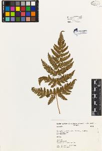 SW_BNB_s3080-02372_IMG-0000000001