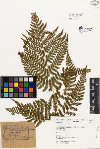 SW_BNB_s3080-02373_IMG-0000000001