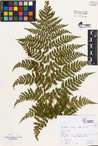 SW_BNB_s3080-02377_IMG-0000000001