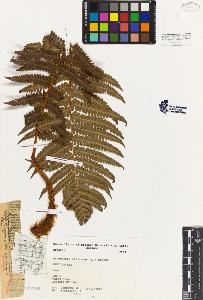 SW_BNB_s3080-02379_IMG-0000000001