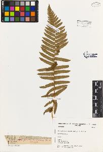 SW_BNB_s3080-02380_IMG-0000000001