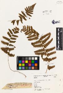 SW_BNB_s3080-02381_IMG-0000000001