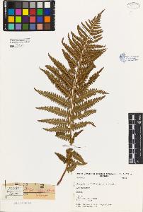 SW_BNB_s3080-02383_IMG-0000000001