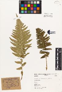 SW_BNB_s3080-02390_IMG-0000000001