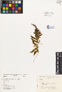 SW_BNB_s3080-02392_IMG-0000000001